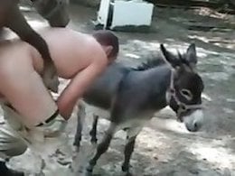 Sex with Animals for Free