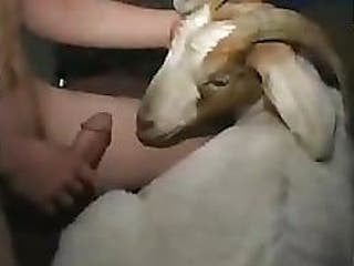 Friendly site 81