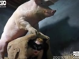 ZooY