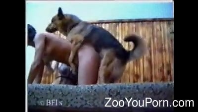Teen amateur slut uses the dog cock for anal pleasures