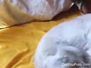 Masked hottie getting throated and pussyfucked too