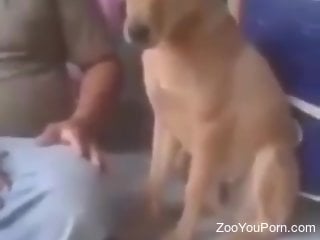 Horny male craves the dog's dick for a little porn fun