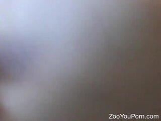 Masked blonde featuring in a rough zoo porn with a dog