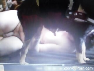 Kinky zoophile seduces doggie for bestiality action