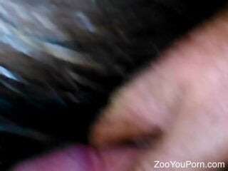 Zoophile definitely enjoys having kinky zoo sex right now