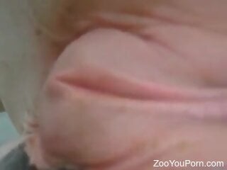 Filthy zoophile shoves his hand inside the horse's pussy