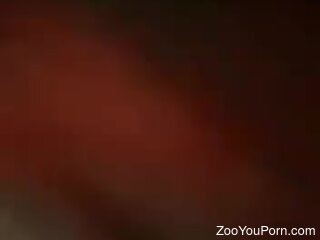 Slutty housewife is in love with bestiality blowjobs