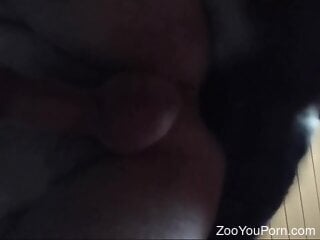 Zoophile gets banged by his dog in a hot zoo porn