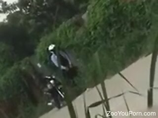 Naughty zoophile caught on camera outdoors