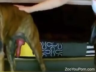 Homemade zoo porn featuring slim housewife and her dog