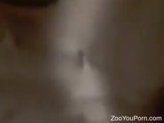 Zoophile grabs his dog to have XXX zoo sex