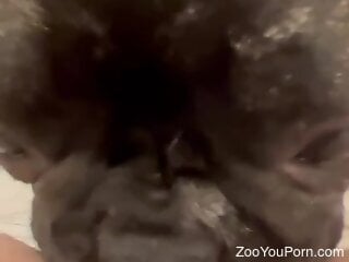 XXX zoo porn featuring black doggie eating pussy