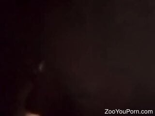 Young amateur decided to suck a dogs dick at night