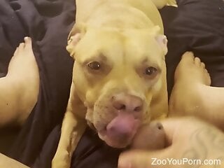 Zoophile is getting ready for a hot blowjob