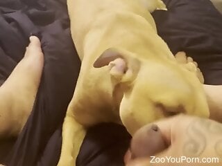 Zoophile is getting ready for a hot blowjob