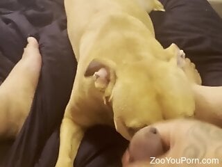 Zoophile is getting ready for a hot blowjob