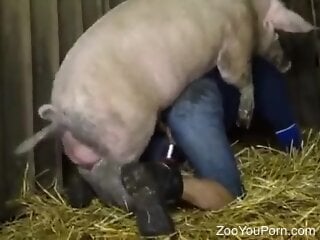 Big swine fucks man in the ass and comes inside him