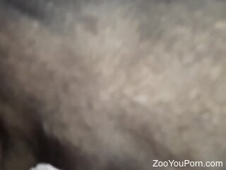 Zoophile is busy having zoo sex outdoors