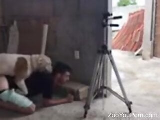 White dog makes zoophile cum during zoo sex