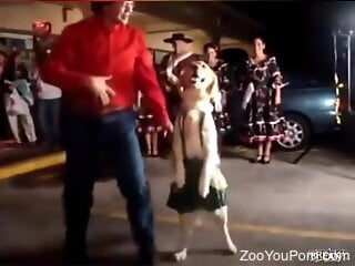 Filthy zoophile is pleased orally by his dog