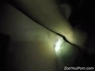 Zoophile is having zoo sex with a dog in the darkness
