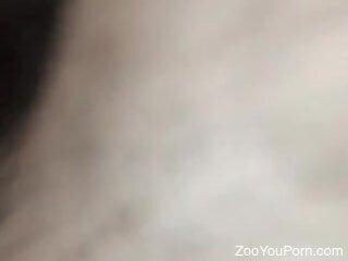 Zoophile loves having rough zoo sex outdoors