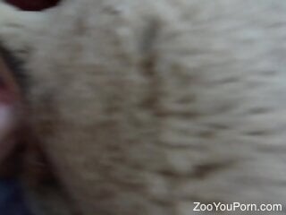 Kinky fantasies of a zoohphile are becoming real