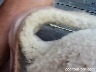 Kinky fantasies of a zoohphile are becoming real