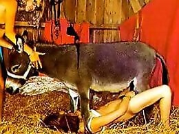 Animal porn and zoo sex