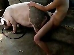 Free Animal Zoo Sex
