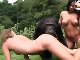 Friendly site 23