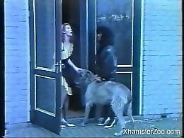 Bestiality Video