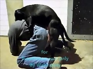 Animal porn videos and ZOO PORN