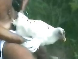 Animal Porn Zoo Videos