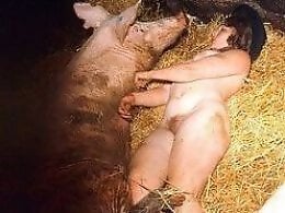 Free Zoo porn tube