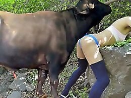 GirlHorseSex