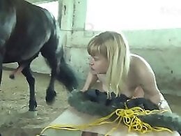Bestiality Video