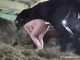 TubeZooX