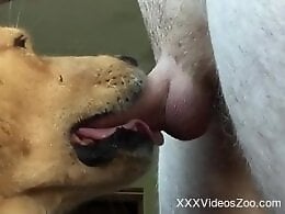 XXXVideosZoo
