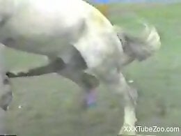XXXZooTube