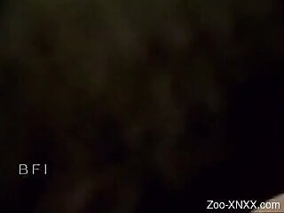 Zoo-XNXX