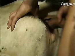 Animal Zoo Sex