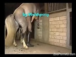 Zoo Porn Co